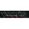 Rockforce 3/8" lenktas terkšlinis raktas antikoroziniame plastikiniame korpuse (200 mm, 72 dantys)