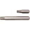 Rockforce TORX antgalis T30x5/16'' L-70mm