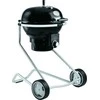 Roesle F50 Oro anglies sodas 50 cm x 50 cm