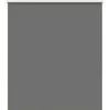 roletas smėlio Pilka 125x175 cm audinio plotis 121,6 cm