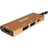 Šakotuvas „Roline Gold“ USB-C stotis / replikatorius (1119-12-02)