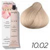 Farmavita Omniplex Blossom Glow plaukų toneris 10.02 Sand 100 ml
