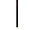 Rotring ROTRING pieštukas Juodas EXAM 2B dėžutė su 72 pieštukais