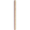Rotring ROTRING Reduktionsmaßstab Dreikant 30cm / Architekt S0220481