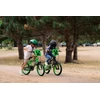 Huffy Minecraft 16" dviratis, Žalias 21404W