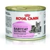 Royal Canin FHN Cat Babycat Instinctive Mousse 195 g