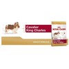 Šunų Maistas - Royal Canin