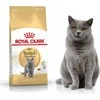 Royal Canin British Shorthair 400g