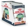 Royal Canin Digest Sensitive šlapias maistas katėms, 12 x 85 g