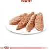 Royal Canin Exigent 85g