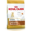 ROYAL CANIN Labrador Retriever Junior 3kg, Labradoro retriverių veislės jaunų šunų sausas pašaras