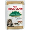 FBN Cat Maine Coon padažas 12x85 g