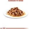 Royal Canin SHN MINI PUPPY 85 g, konservuotas pašaras šunims