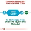 Royal Canin SHN MINI PUPPY 85 g, konservuotas pašaras šunims