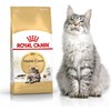 Royal Canin Maine Coon Adult 400g