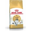 Royal Canin Norwegian Forest Cat Adult sausas maistas katėms 400g paukštiena
