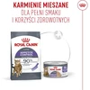 ROYAL CANIN FCN Appetite Control Care AirLift 85g