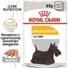 CCN Dog Dermacomfort Loaf 12x85 g