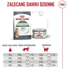 ROYAL CANIN FCN Digestive Care AirLift 85g