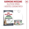 ROYAL CANIN FCN Digestive Care AirLift 85g