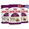 Royal Canin FHN Sensory Smell gravy kačių konservuotas pašaras, 85 g, maišelyje