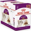 Royal Canin FHN Cat Sensory Smell Gravy 12x85 g