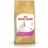 ROYAL CANIN Sphynx 2kg, sfinksų veislės suaugusių kačių sausas pašaras