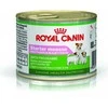 Royal Canin Starter mousse 195g konservuotas pašaras jauniems šunims