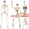 Skeletas - dekoracija 40cm Ruhhy 26027