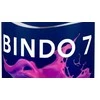Sienų ir lubų dažai SADOLIN BINDO 7, matiniai, baltos sp., BW bazė, 4,5 l