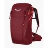 Salewa Alp Trainer 20 L moteriškas kuprinė, bordo