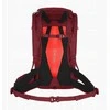 SALEWA „Alp Trainer 20“ moteriška „Syrah“ kuprinė