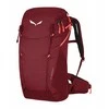 SALEWA „Alp Trainer 20“ moteriška „Syrah“ kuprinė