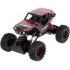 R/C visureigis