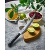 Samura DAMASCUS 67 Universalus virtuvinis pjaustymo peilis Tanto 230 mm