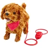 Sandy Happy Pets Šuniukas pasivaikščiojimui – kokapū