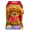 Sandy Happy Pets Šuniukas pasivaikščiojimui – kokapū