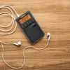 Sangean DT-800 (USB-C) juodas