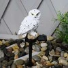 Saska Garden Sodo saulės lempa – pelėda