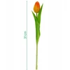 Saska Garden Oranžinis tulpės dekoratyvinis 31 cm