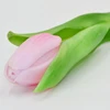 Saska Garden Dirbtinis rožinis tulpė 31 cm
