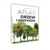 SBM Laukinių gėlių atlasas