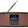 Radijas Scansonic Scansonic PA8001 DAB+ su belaidžiu įkrovikliu
