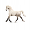 Schleich figūrėlė Arabų veislės kumelė