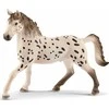 SCHLEICH HORSE CLUB Knabstrupper veislės arklys