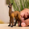 Schleich figūrėlė Lamos jauniklis