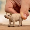 Collecta SCHLEICH FARM WORLD Vengrų Mangalica veislės paršelis