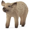 Collecta SCHLEICH FARM WORLD Vengrų Mangalica veislės paršelis