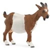 Collecta SCHLEICH FARM WORLD ožka