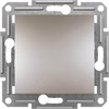 Schneider Electric Asforos jungtis be bronzos rėmelio (EPH0400169)